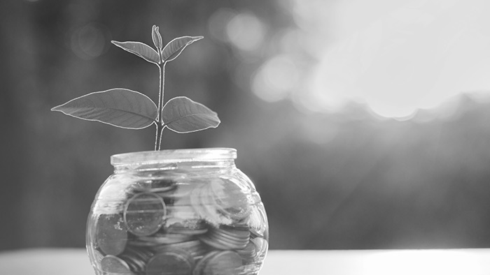 Traditional IRA (Individual Retirement Account)