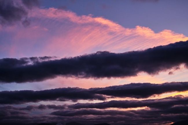 Estate Planning Basics Dont Leave Your Estate in a Purple Haze